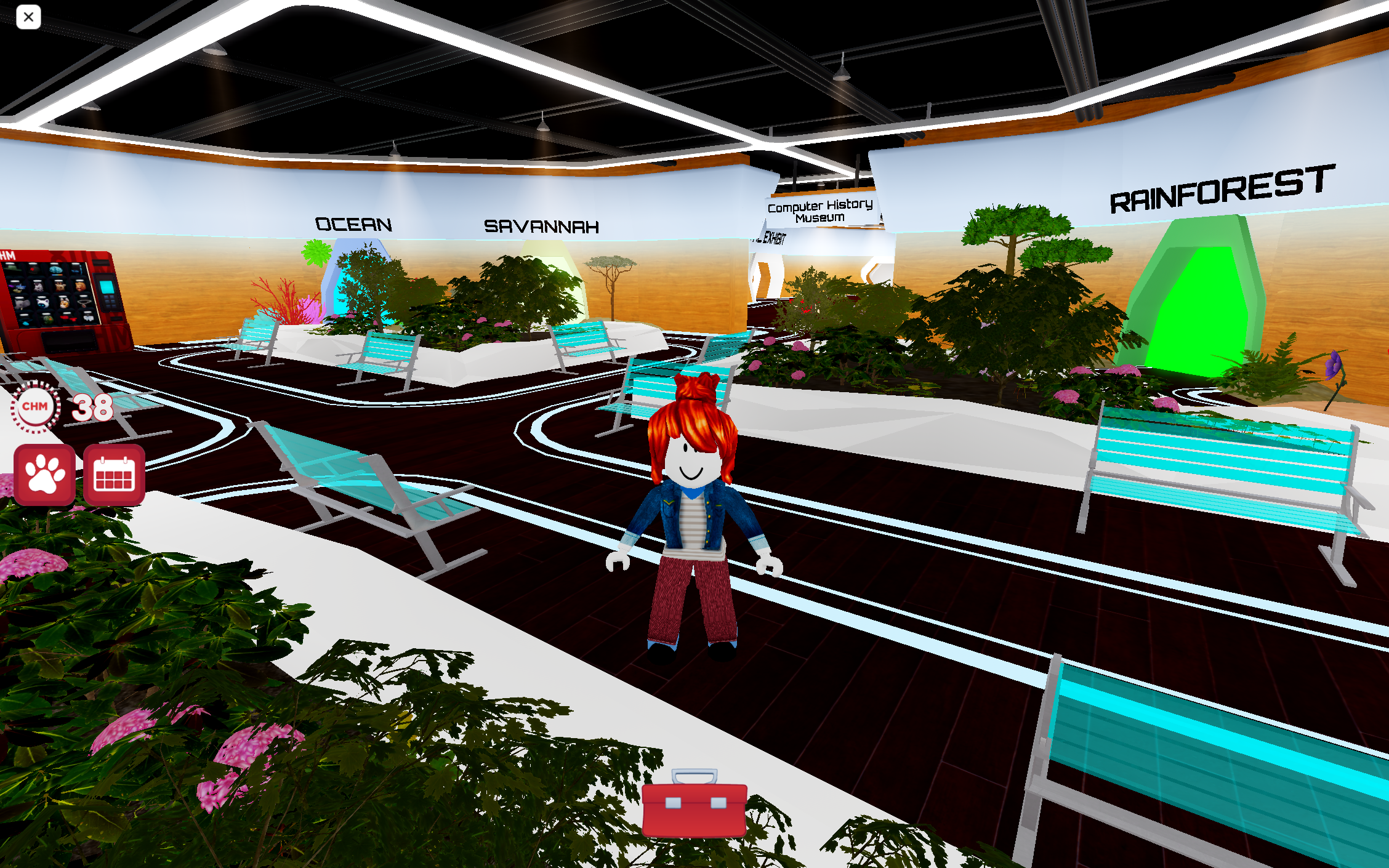 Online Gaming: Roblox Hangout  Fox River Valley Public Library