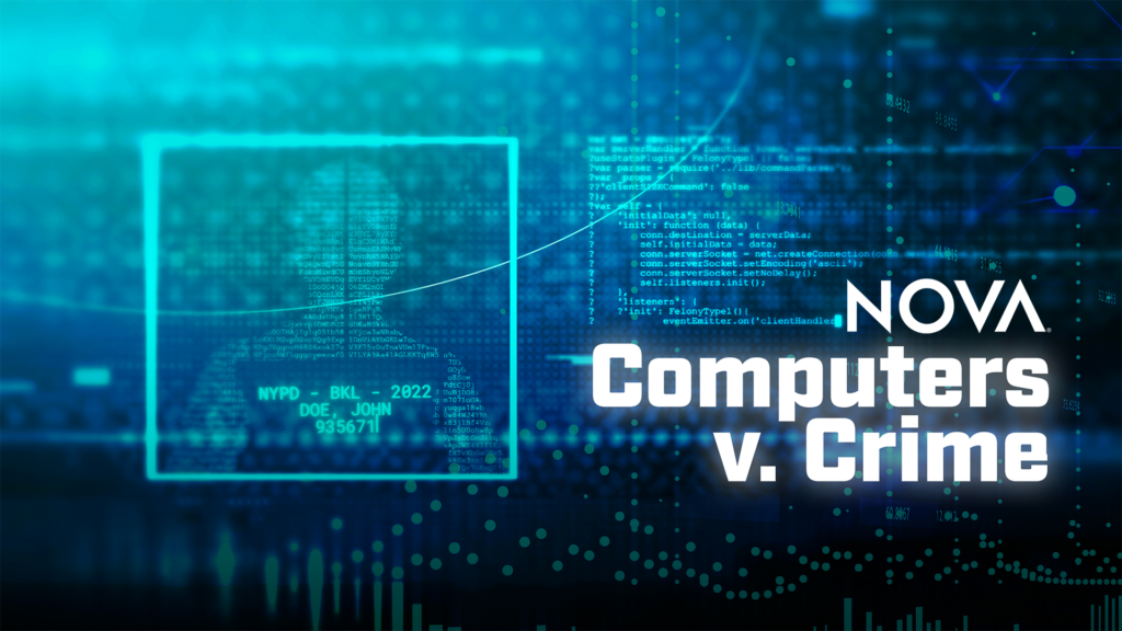 Computers versus Crime CHM